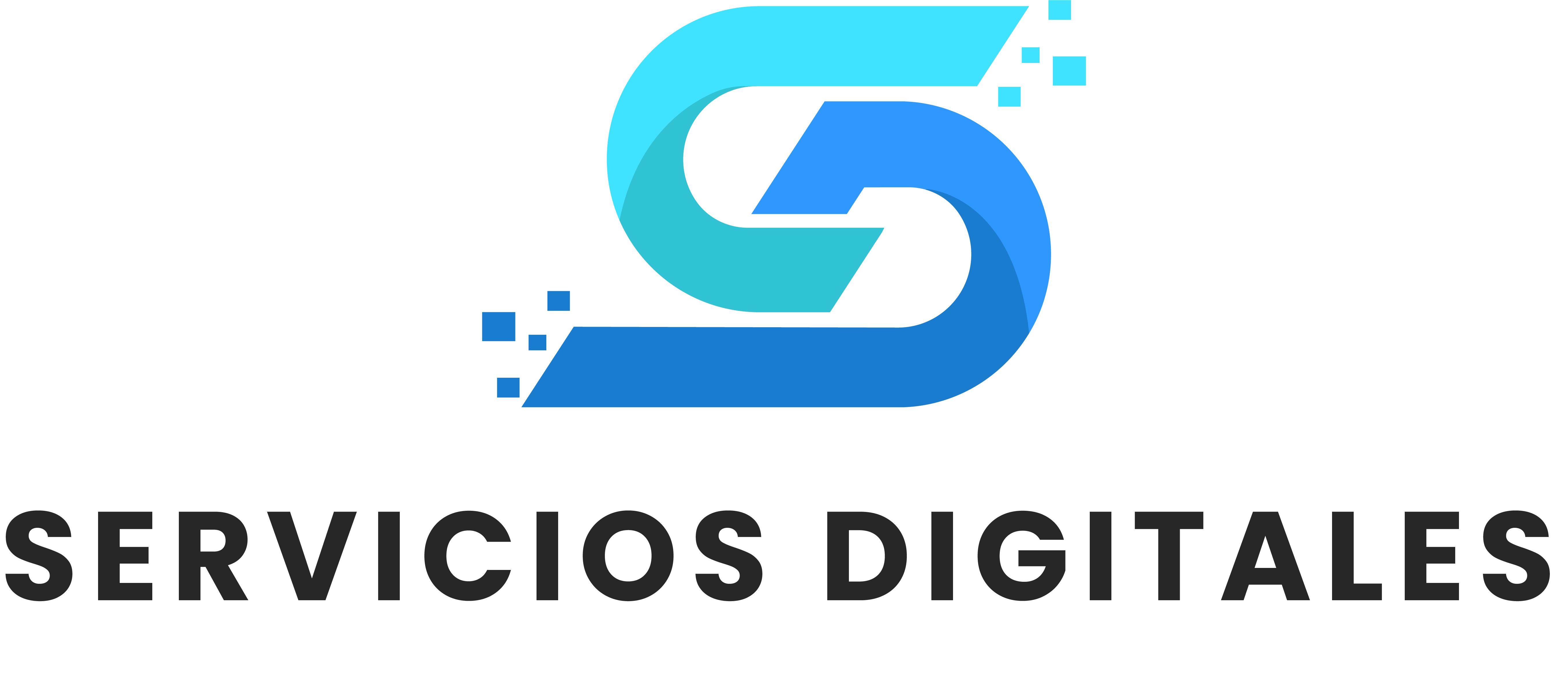 Sur Servicio Digital –  SSD